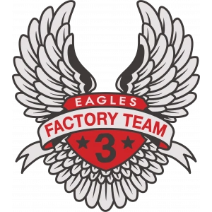 Eagles Factory Team Sticker 10x10 cmRenkli Sticker