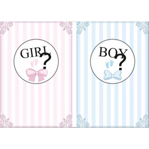 Girl or Boy Afişi Baby Shower Afişi 100x150 Cm