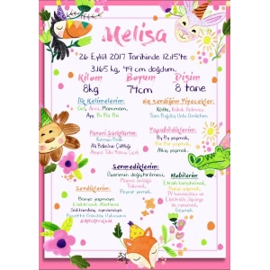 Sevimli Hayvanlar Temalı Yaş Panosu