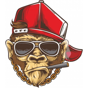 Goril Gozluklu Sticker 10x10 cmRenkli Sticker