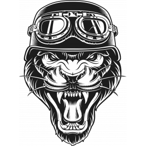 Aslan Sticker 10x10 cmRenkli Sticker