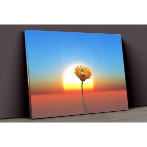 Gün Batımı Ve Çiçek Kanvas