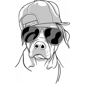 Güneş Gözlüklü Köpek Sticker 10x10 cmRenkli Sticker