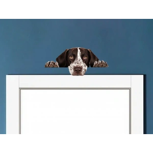 Kahverengi Beyaz Benekli Kısa Tüylü Pointer Köpek Duvar Stickerı