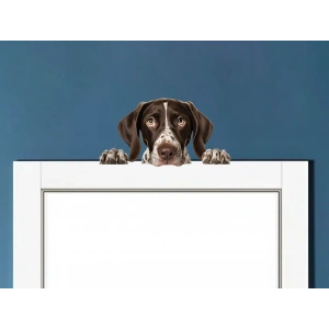 Kahverengi Beyaz Benekli Kısa Tüylü Pointer Köpek Duvar Stickerı