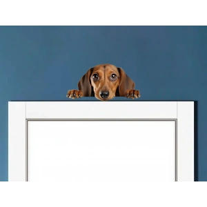 Kahverengi Dachshund (Sosis Köpek) Duvar Stickerı