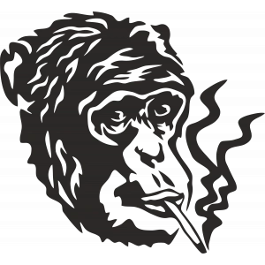 Goril Sticker 10x10 cmRenkli Sticker