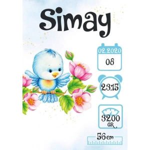 Sevimli Kuş Temalı Yaş Panosu