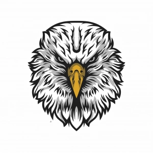 Kartal Sticker 10x10 cmRenkli Sticker