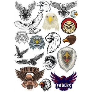 Kartal Sticker Set 5 20 Parça Telefon, Tablet, Defter, Laptop Sticker