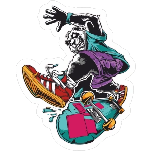 Kaykaycı Panda Sticker 10x10 cmRenkli Sticker