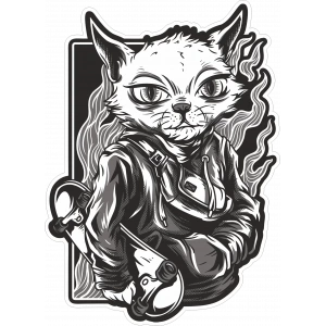 Kaykaylı Kedi Sticker 10x10 cmRenkli Sticker