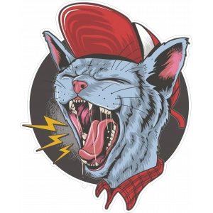 Kedi Sticker 10x10 cmRenkli Sticker