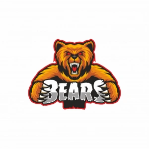 Kızgın Ayı 1 Sticker 10x10 cmRenkli Sticker