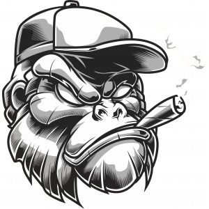 Kızgın Goril Sticker 10x10 cmRenkli Sticker