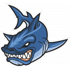 Kızgın Köpekbalığı Sticker 10x10 cmRenkli Sticker