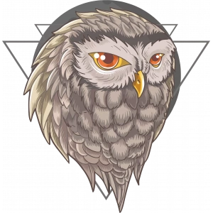 Baykuş Sticker 10x10 cmRenkli Sticker