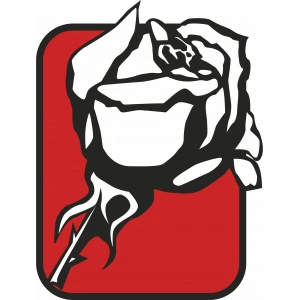 gül sticker 10x10 cmRenkli Sticker