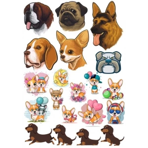 Köpek Sticker Set-13 13 Parça Telefon, Tablet, Defter, Laptop Sticker