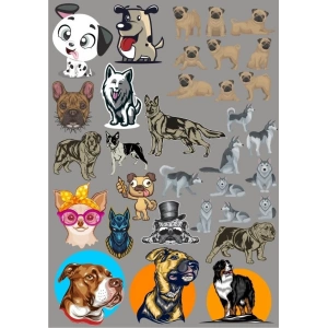 Köpekler Sticker Set-16 19 Parça Telefon, Tablet, Defter, Laptop Sticker