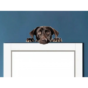 Koyu Kahverengi Labrador Köpek Duvar Stickerı