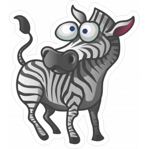 Zebra Sticker 10x10 cmRenkli Sticker
