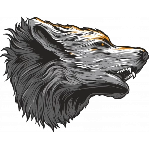 Kurt Sticker 10x10 cmRenkli Sticker