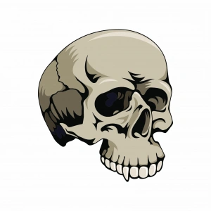 Kuru Kafa Sticker 10x10 cmRenkli Sticker