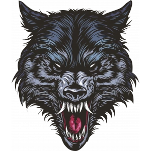 Kurt Sticker 10x10 cmRenkli Sticker