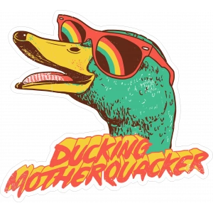 pride ördek sticker 10x10 cmRenkli Sticker