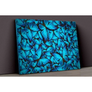 Mavi Kelebekler Kavas