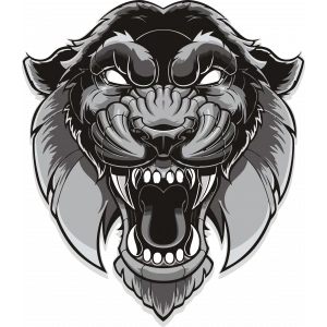 kaplan sticker 10x10 cmRenkli Sticker