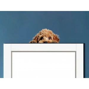 Minyatür Schnauzer Duvar Stickerı