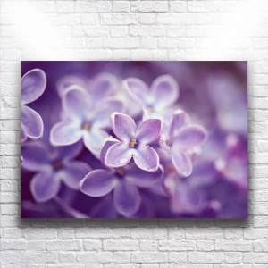 Mor Çiçekler Kanvas
