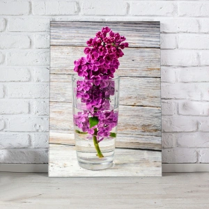 Mor Çiçekler Kanvas