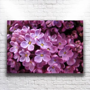 Mor Çiçekler Kanvas