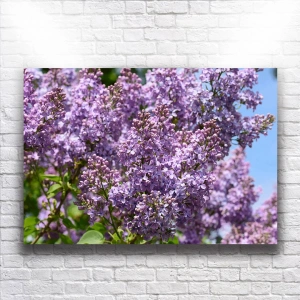 Mor Çiçekler Kanvas