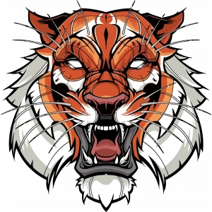 Aslan Sticker 10x10 cmRenkli Sticker