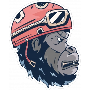 Motorcu Goril Sticker 10x10 cmRenkli Sticker