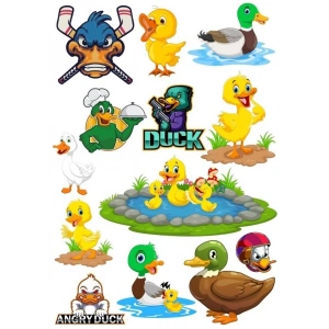 Ördek Temalı Sticker Set-1 13 Parça Telefon, Tablet, Defter, Laptop Sticker