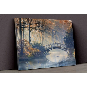 Orman Ve Köprü Kanvas