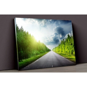 Orman Ve Yol Kanvas
