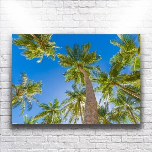 Palmiye Ağacı Kanvas