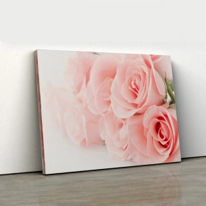 Pastel Pembe Gül Demeti Yakın Çekim Kanvas Tablo