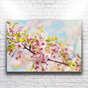 Pembe Çiçekler Kanvas