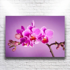 Pembe Çiçekler Kanvas