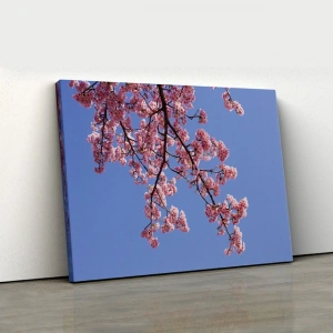 Pembe Sakura Dalı Kanvas Tablo