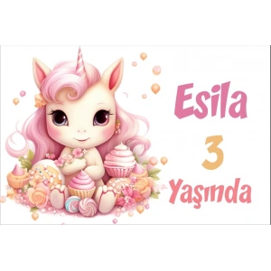 Pembe Unicorn Temalı Doğum Günü Afişi -2 70X100 cm
