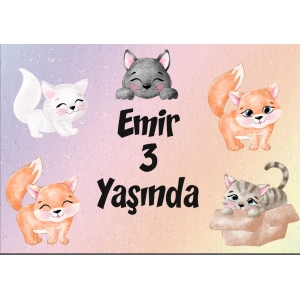 Kedi Teamlı Doğum Günü Afişi 35X50 cm