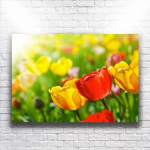 Renkli Çiçekler Kanvas